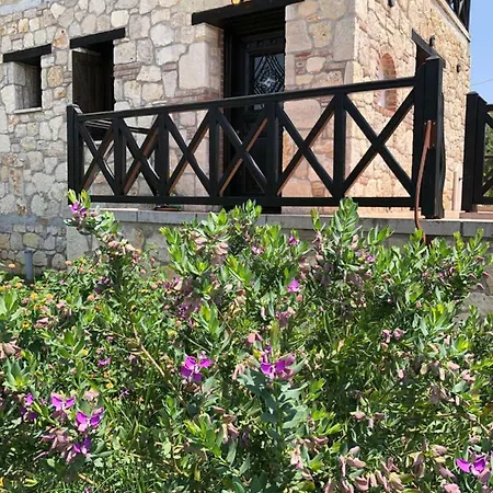 Holliday Stone Villa *