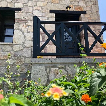 Holliday Stone Villa *
